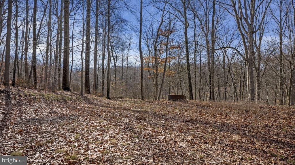 11450 Game Preserve Road - Photo 45