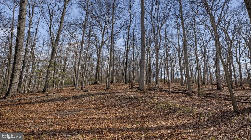 11450 Game Preserve Road - Photo 46