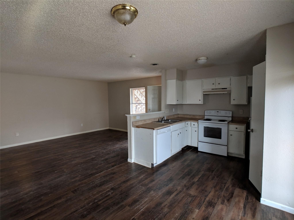 1603 Onion Creek Village Dr - Photo 1