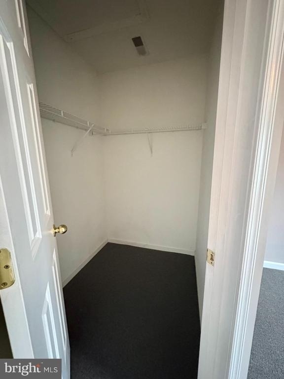4719 Witchhazel Way - Photo 13