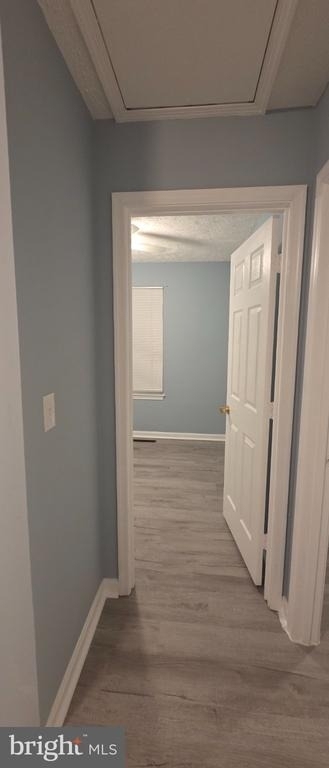 323 Lindera Court - Photo 14