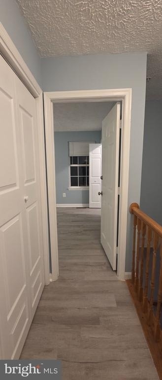 323 Lindera Court - Photo 19