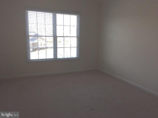 38356 Old Mill Way - Photo 15