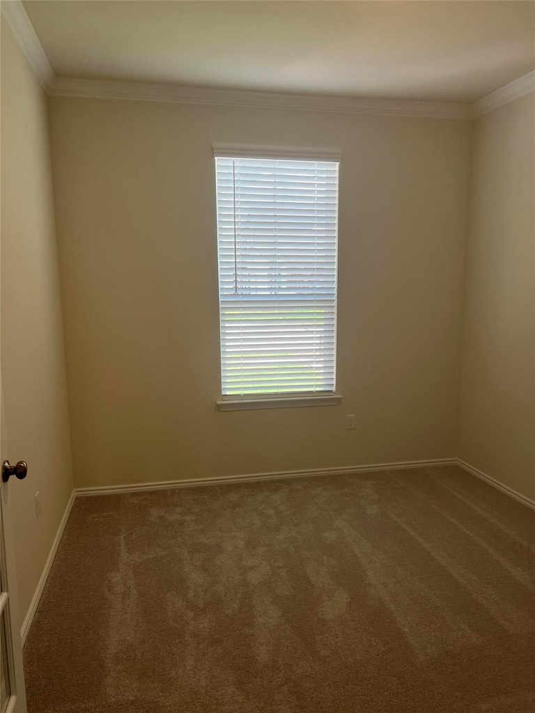 427 Tree Nut Loop - Photo 16