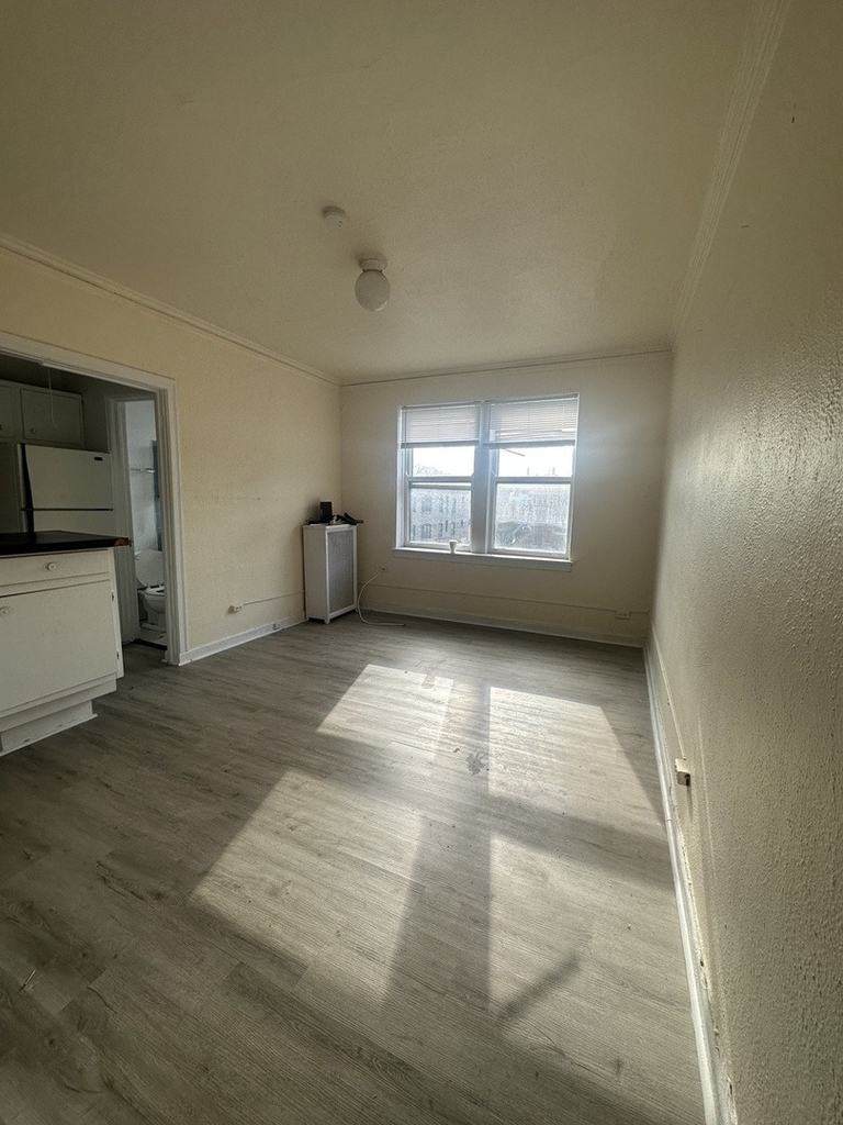 633 W Deming Street - Photo 2