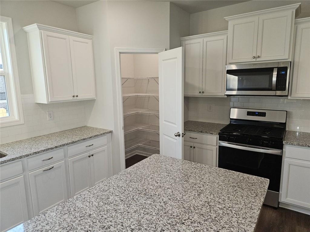 1574 Gin Blossom Circle - Photo 8