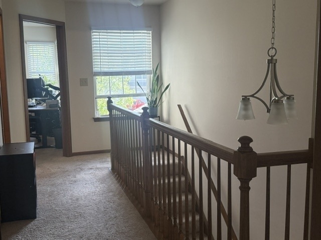 348 Fallbrook Court - Photo 12