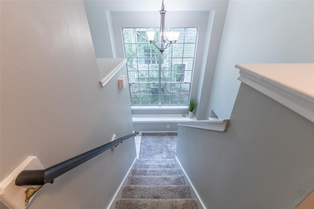 19 Timberstar Street - Photo 28