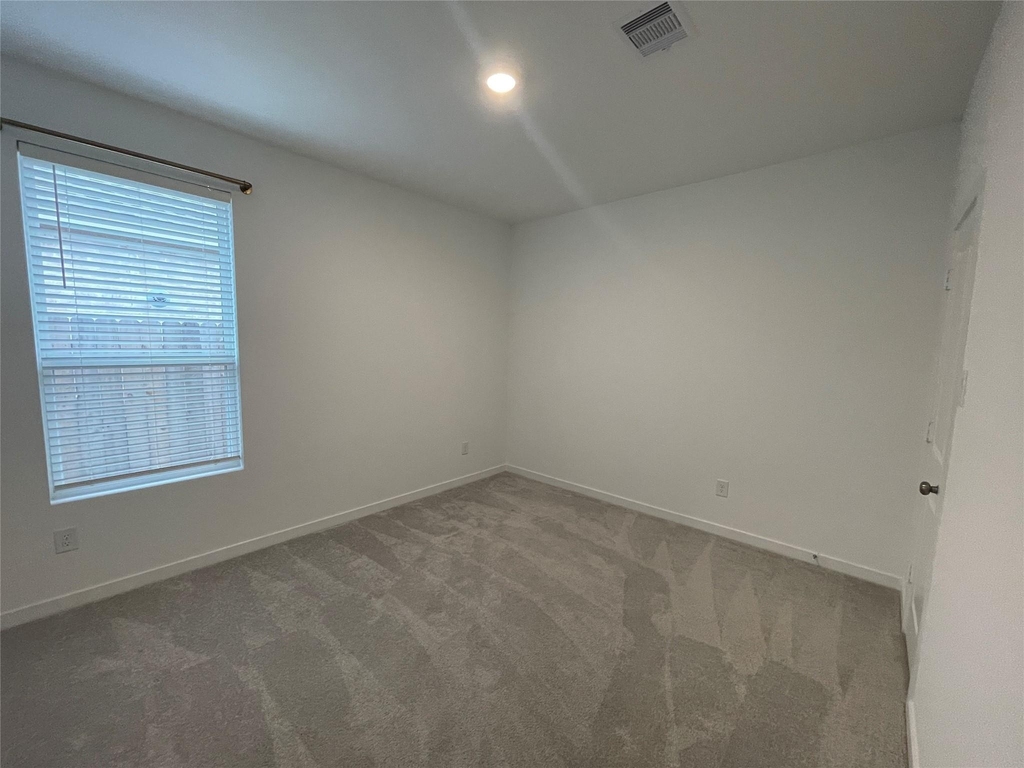 16503 Texas Palmetto Way - Photo 11
