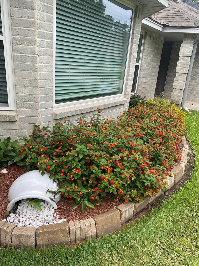 2023 Havenhouse Drive - Photo 10