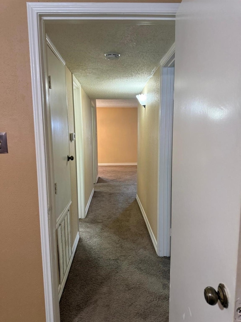 6402 Del Monte Drive - Photo 18