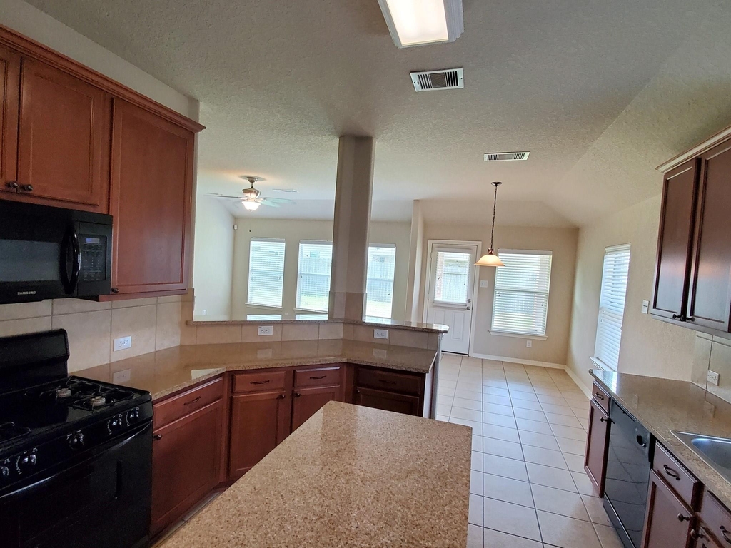 1219 Pecos Pass Drive - Photo 10