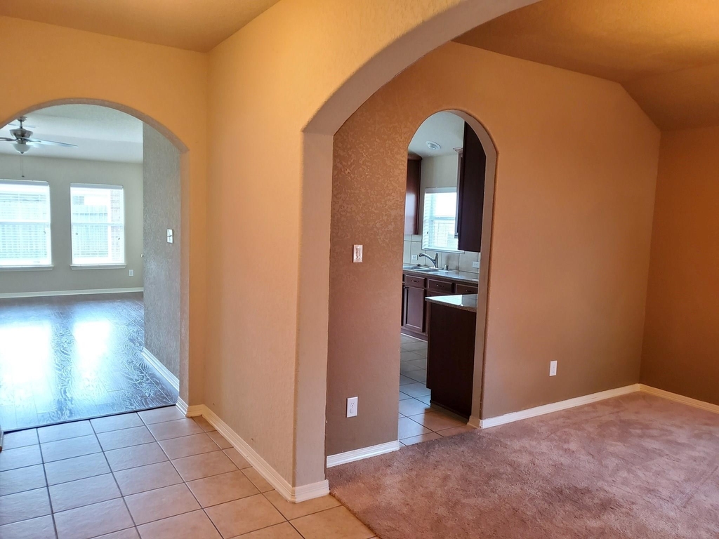 1219 Pecos Pass Drive - Photo 5