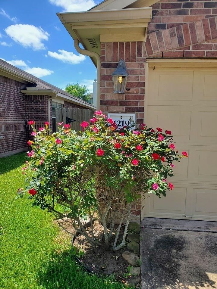 1219 Pecos Pass Drive - Photo 28