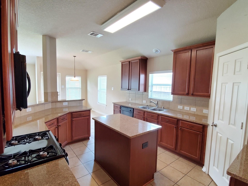 1219 Pecos Pass Drive - Photo 12
