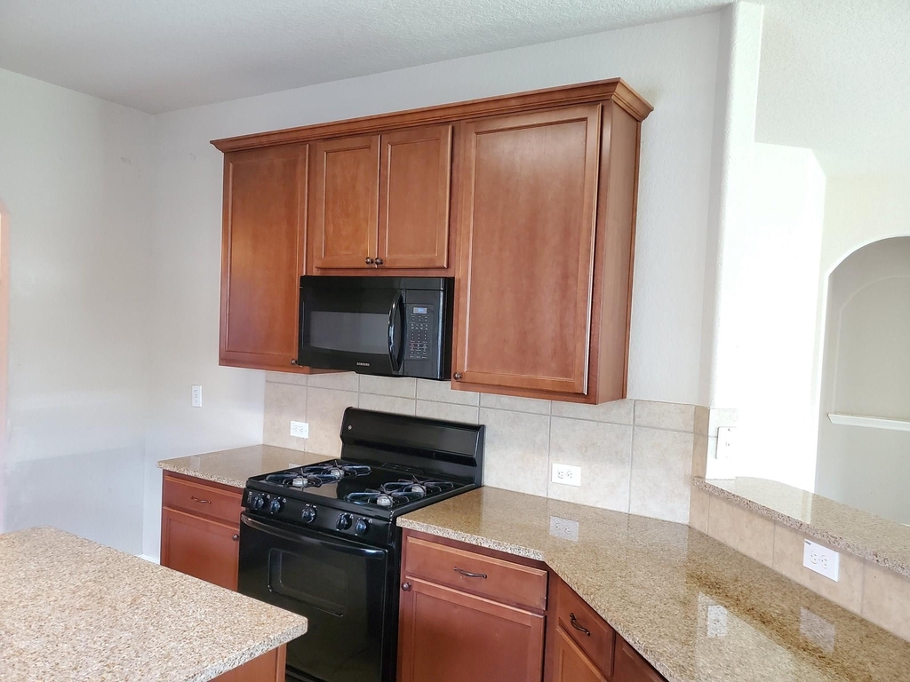 1219 Pecos Pass Drive - Photo 16