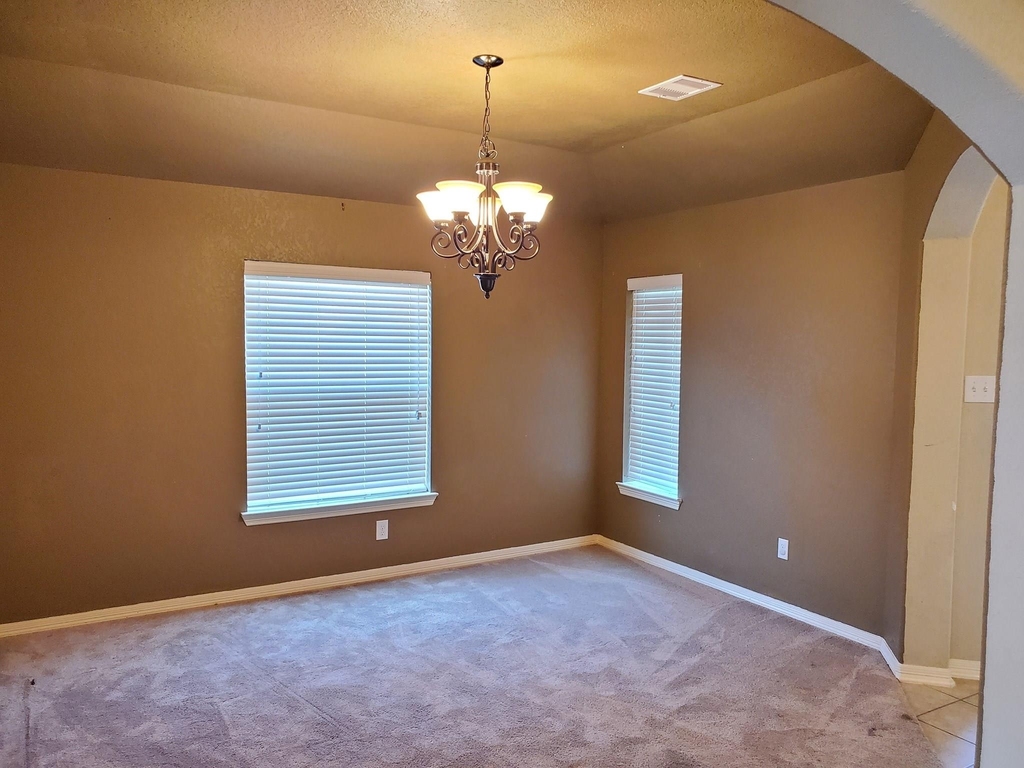 1219 Pecos Pass Drive - Photo 7