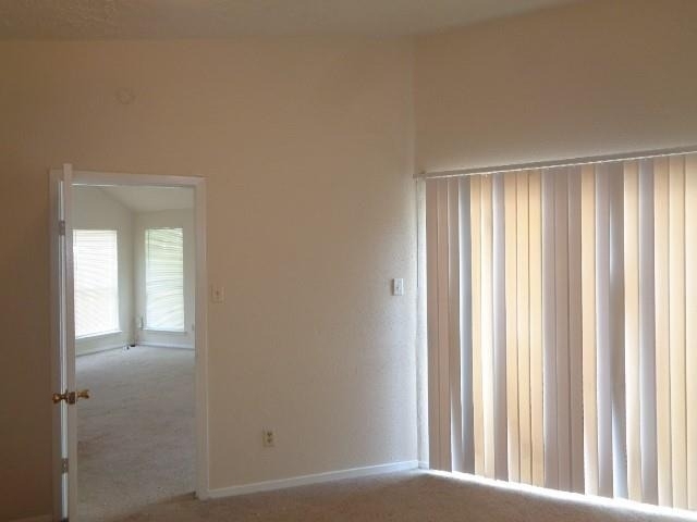 13114 Vista Oro Drive - Photo 9