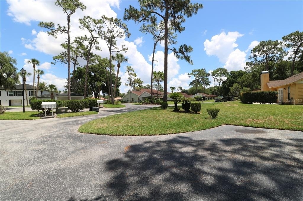 5439 Lady Bug Ln - Photo 56