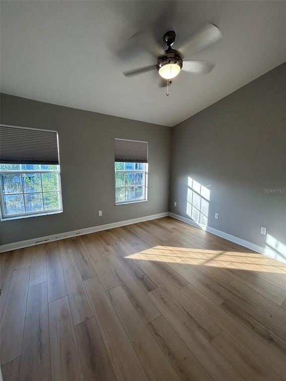 723 Shropshire Loop - Photo 9