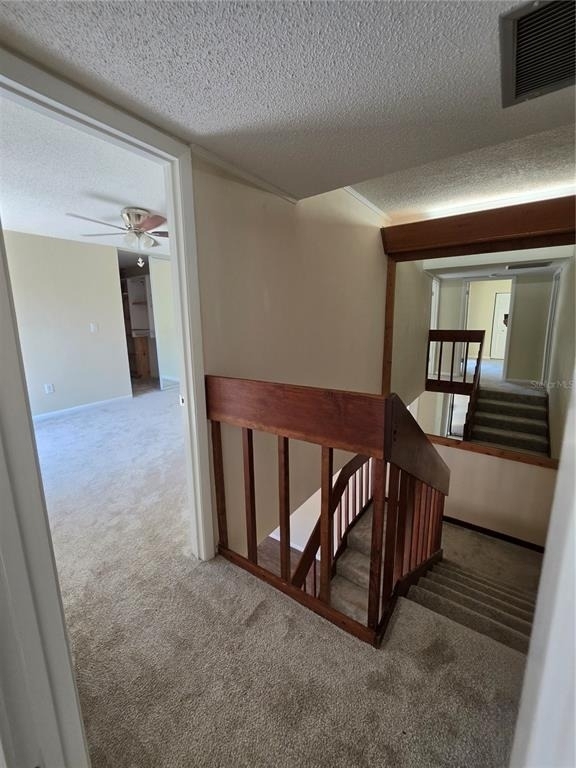 3824 Saxon Drive - Photo 37