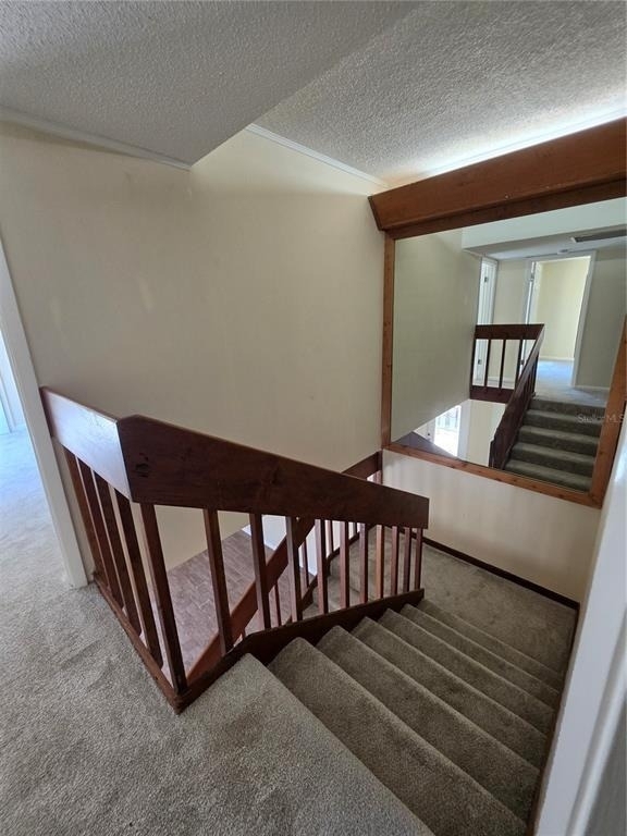 3824 Saxon Drive - Photo 38
