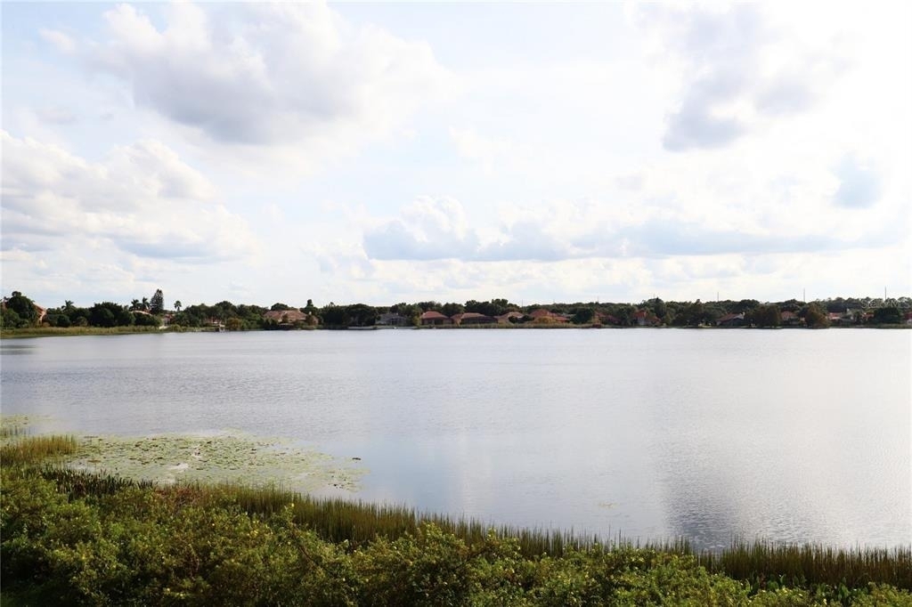 8248 Tivoli Drive - Photo 6