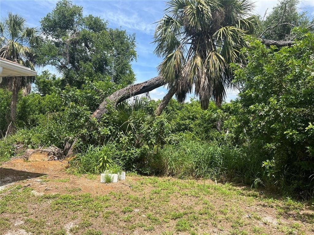 1516 Abel Street - Photo 39