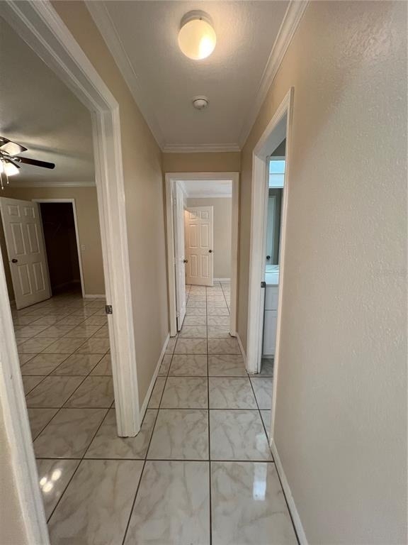 1516 Abel Street - Photo 17