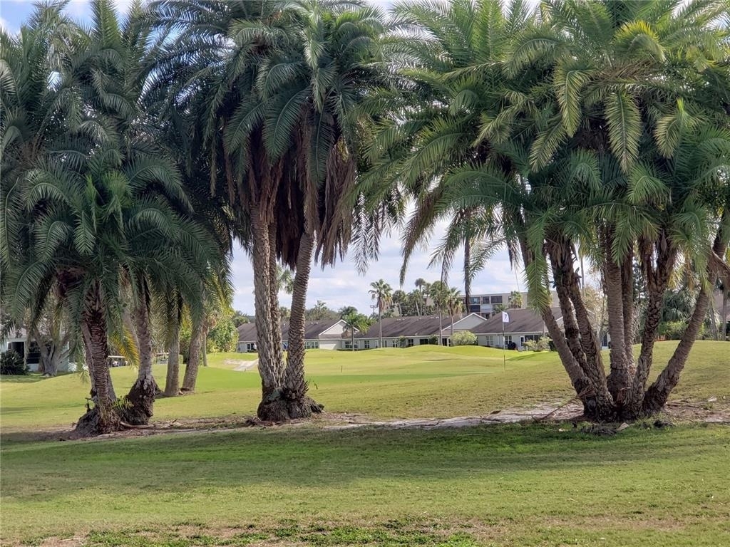 2925 Terra Ceia Bay Boulevard - Photo 39