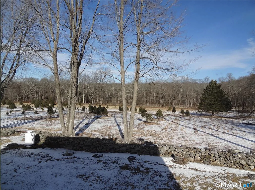 128 Center Road - Photo 33