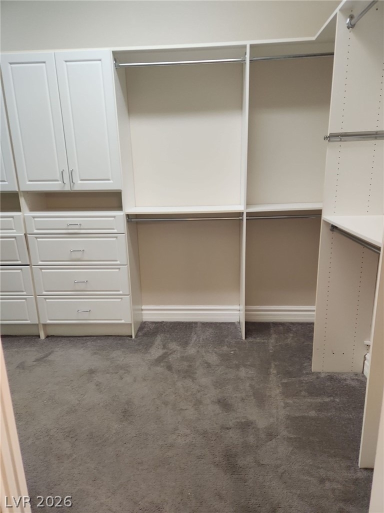9664 Tapestry Pine Street - Photo 41