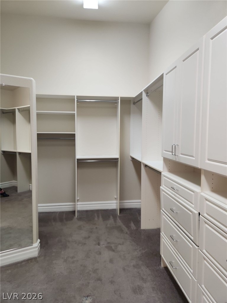 9664 Tapestry Pine Street - Photo 23