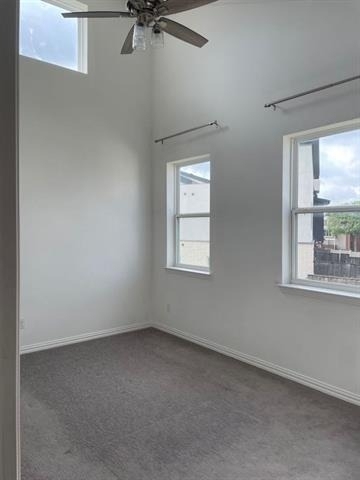 4342 Hebron Street - Photo 12