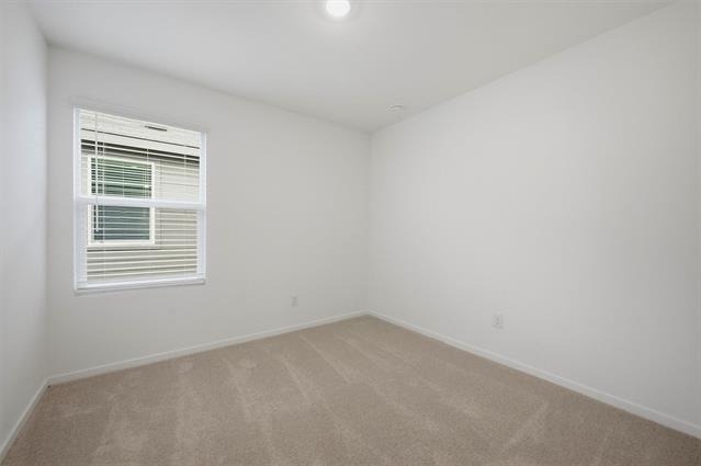 3914 Ontario Way - Photo 12