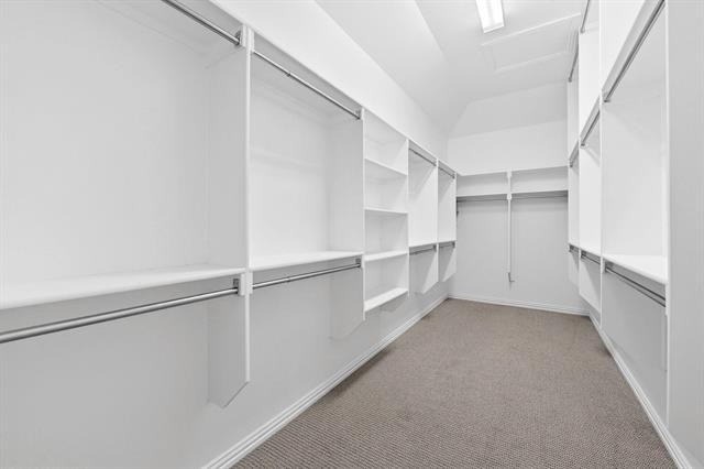 1636 Hydrangea Lane - Photo 13