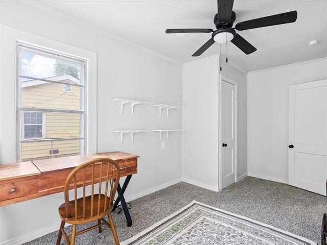 3012 Gene Lane - Photo 7