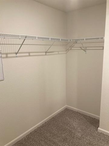3007 Boran Drive - Photo 15