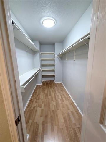 807 Burr Oak Drive - Photo 11