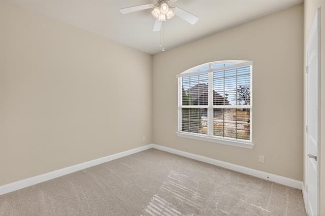 2513 Sabine Circle - Photo 13