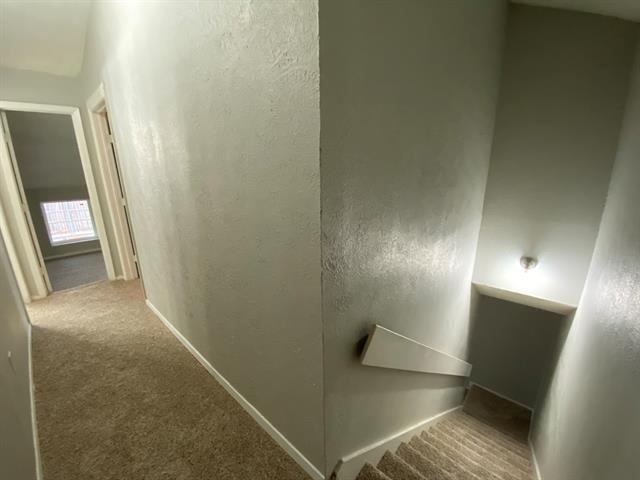 9696 Walnut Street - Photo 7