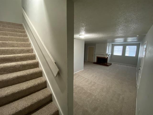 9696 Walnut Street - Photo 5