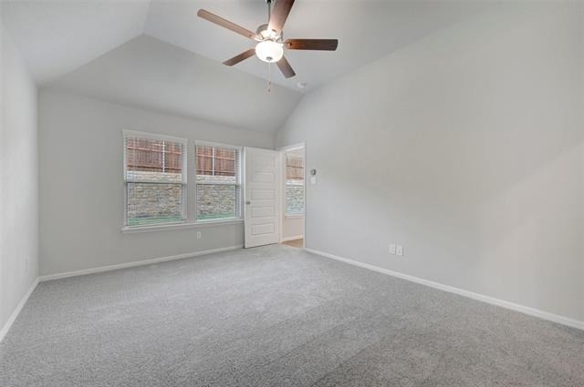 13121 Limestone Street - Photo 15