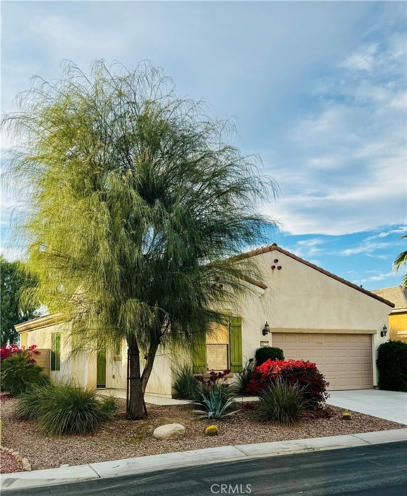 38757 Camino Aguacero - Photo 1