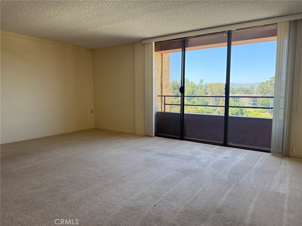 24055 Paseo Del Lago - Photo 0