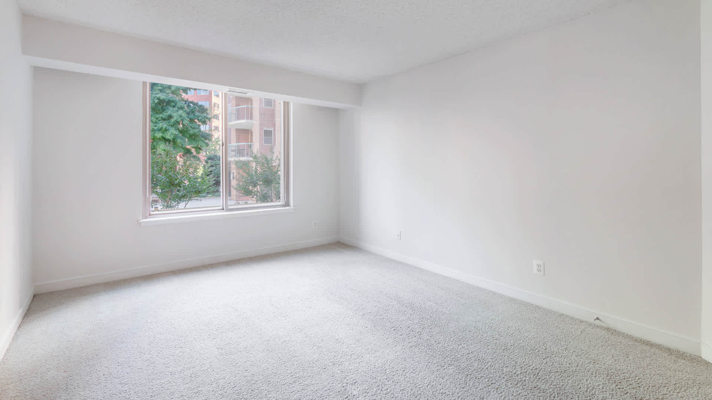 4903 Edgemoor Lane - Photo 14