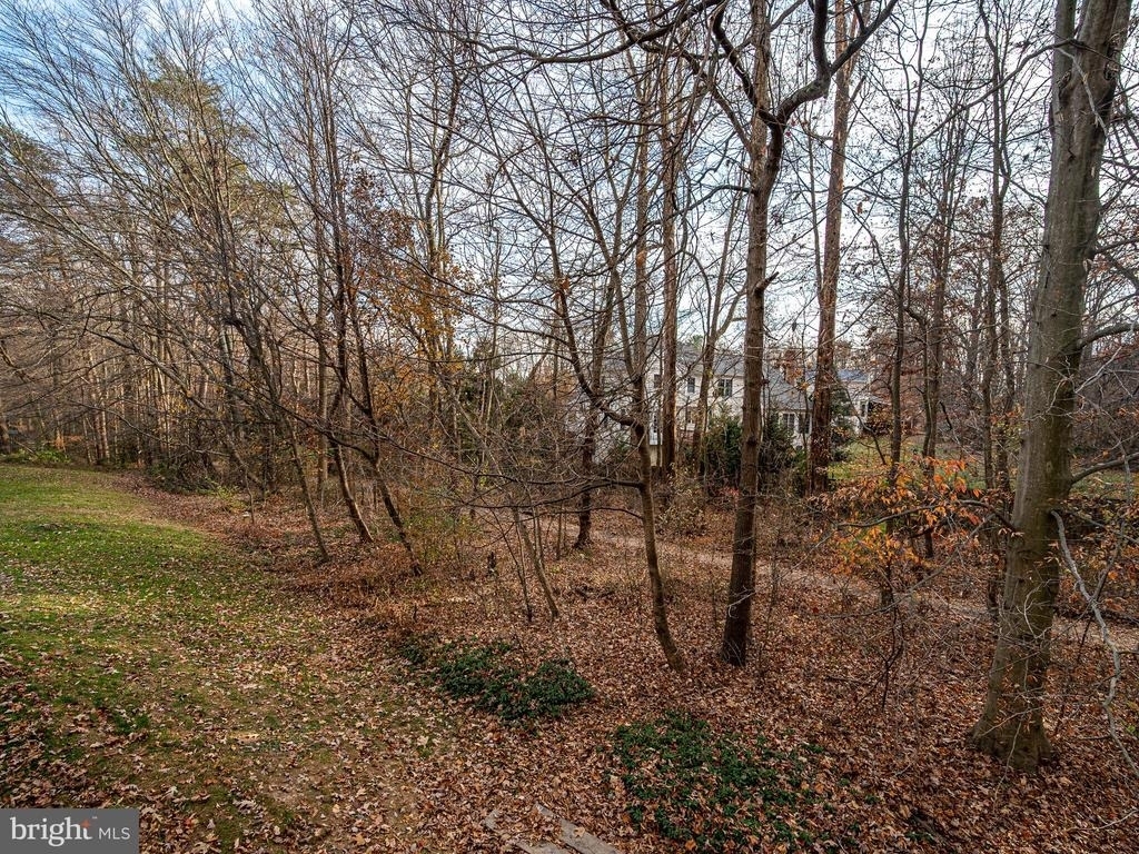 10332 Mockingbird Pond Court - Photo 40