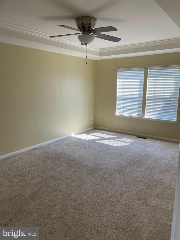 233 Morlyn Drive - Photo 11