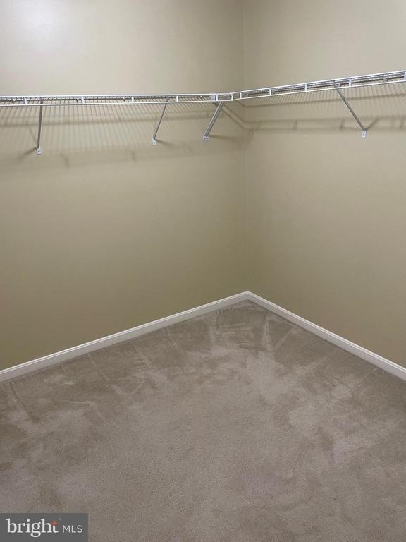 233 Morlyn Drive - Photo 16