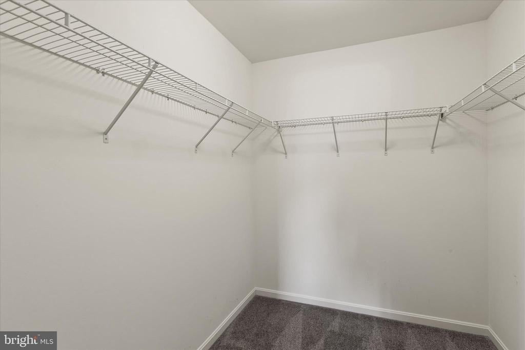 5559 Trafalgar Circle - Photo 51